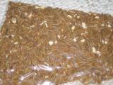 Still alive, 1000 fresh mealworms were taken from their oatmeal/potato breeding grounds