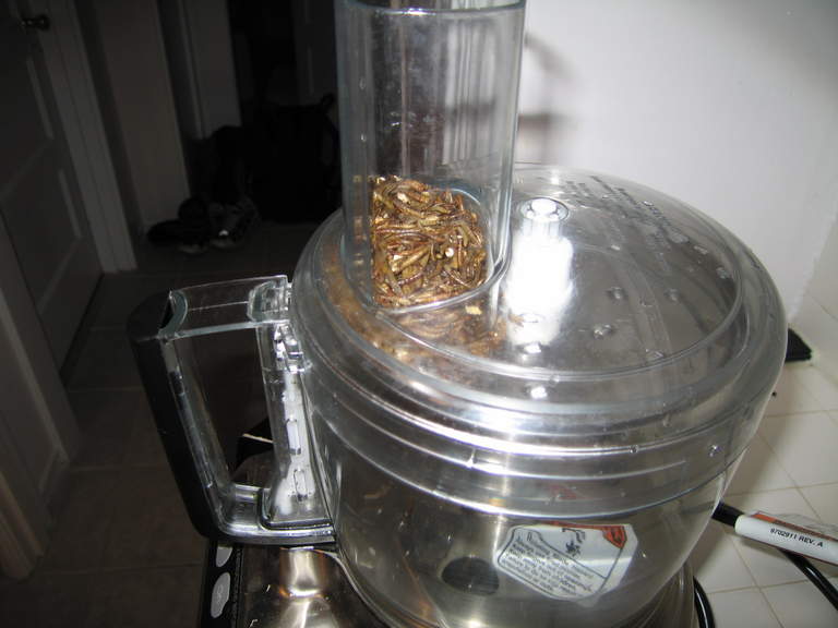 After they've been frozen and oven-baked